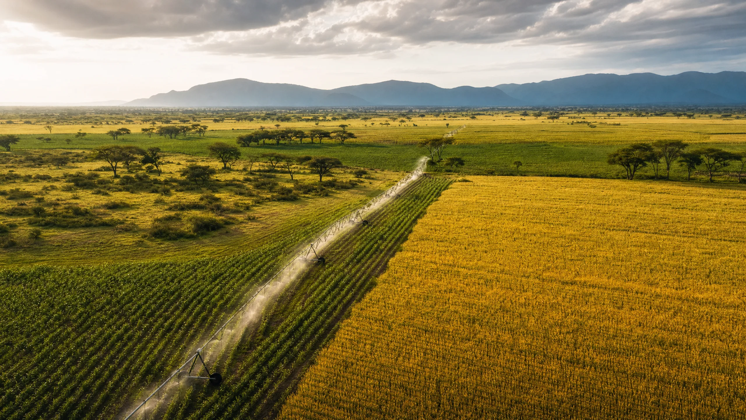 Africa's 60% of Uncultivated Arable Land: The $1 Trillion Opportunity