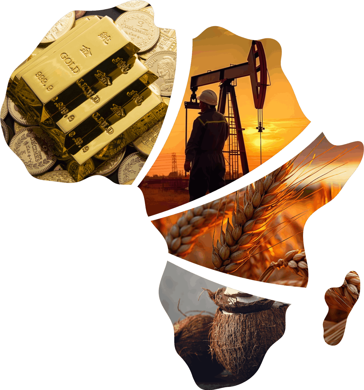 AfriVest