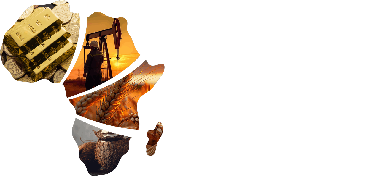 AfriVest — Digitizing Africa