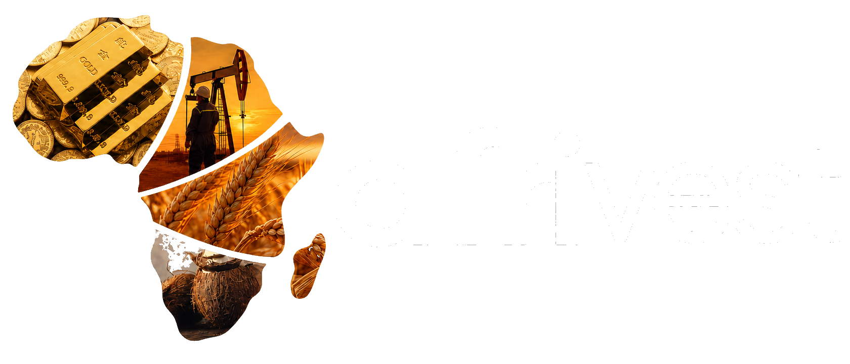 AfriVest, Digitizing Africa